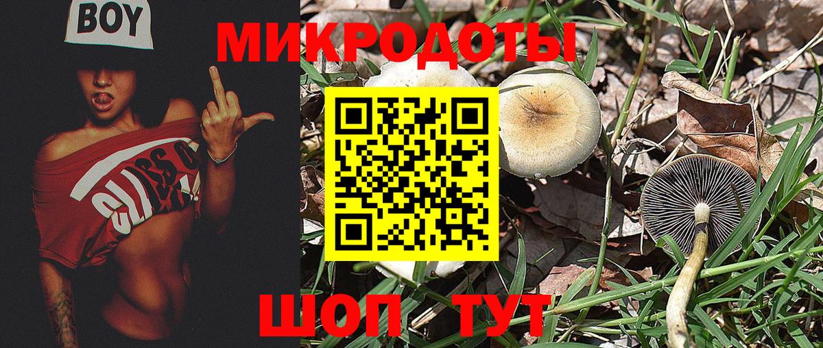 Псилоцибиновые грибы мухоморы  Вход с VPN  магазин    Светлоград 