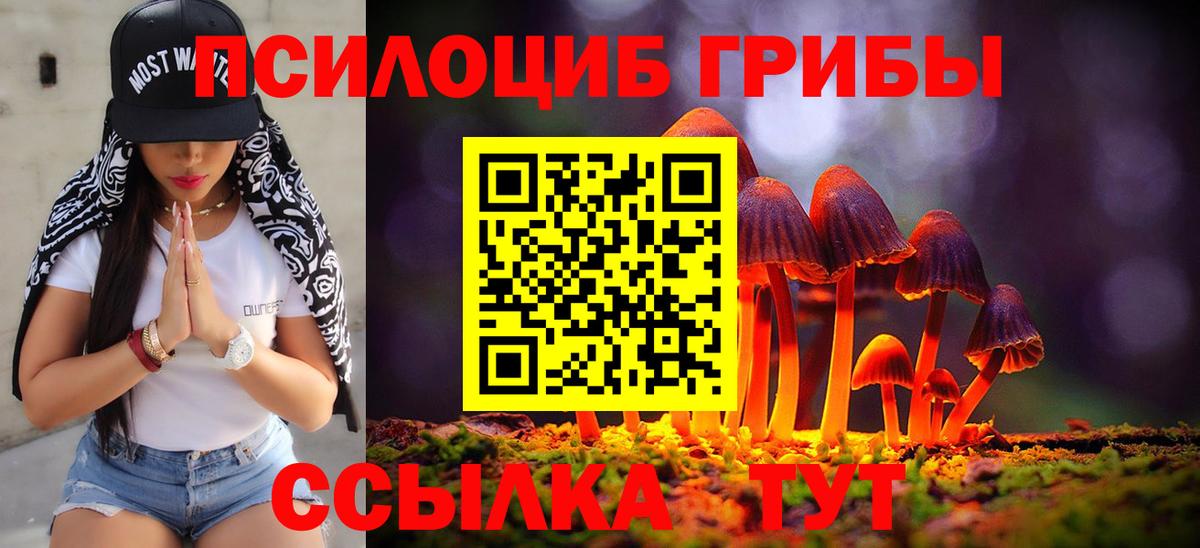 Галлюциногенные грибы Psilocybine cubensis Светлоград