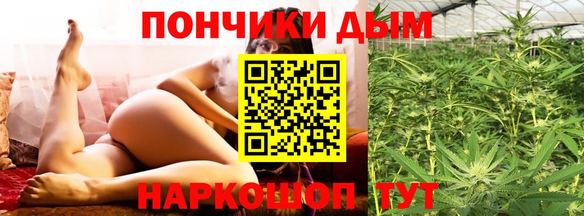 Бошки Шишки марихуана Светлоград